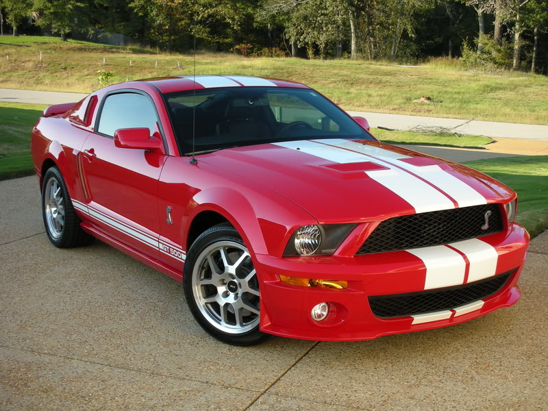 Red_Shelby.jpg