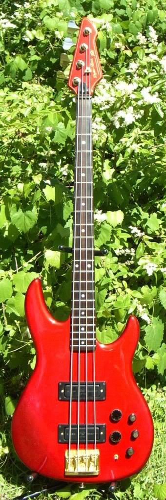 RedDynaCrop-2.jpg