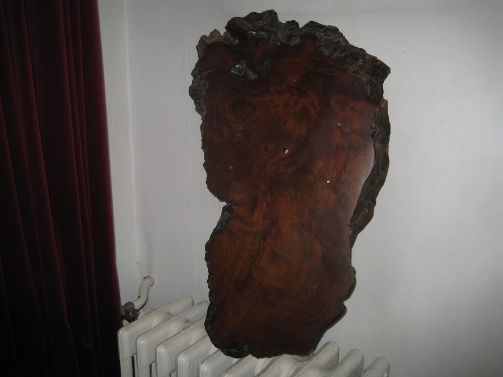 redwood13.jpg