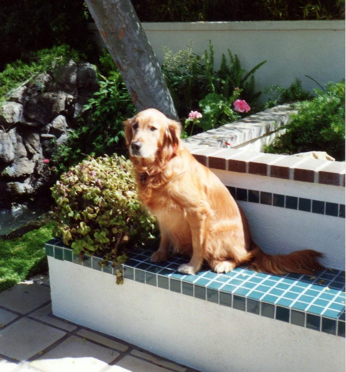 REGGIE004.jpg