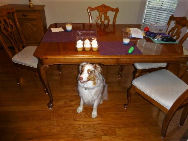 Reggie2ndBD.JPG