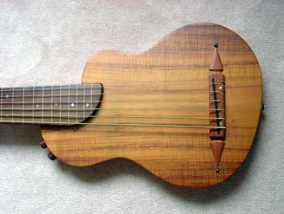 Ren_6_fretless_topsm.jpg