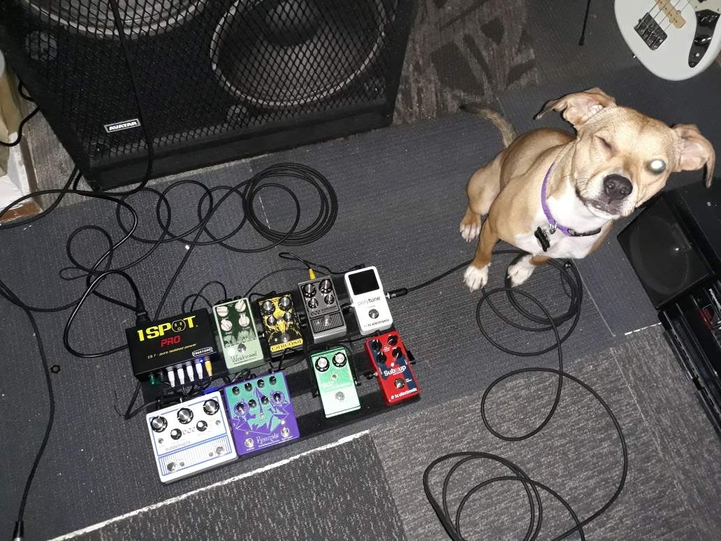 Resized_20190326_165857.jpeg