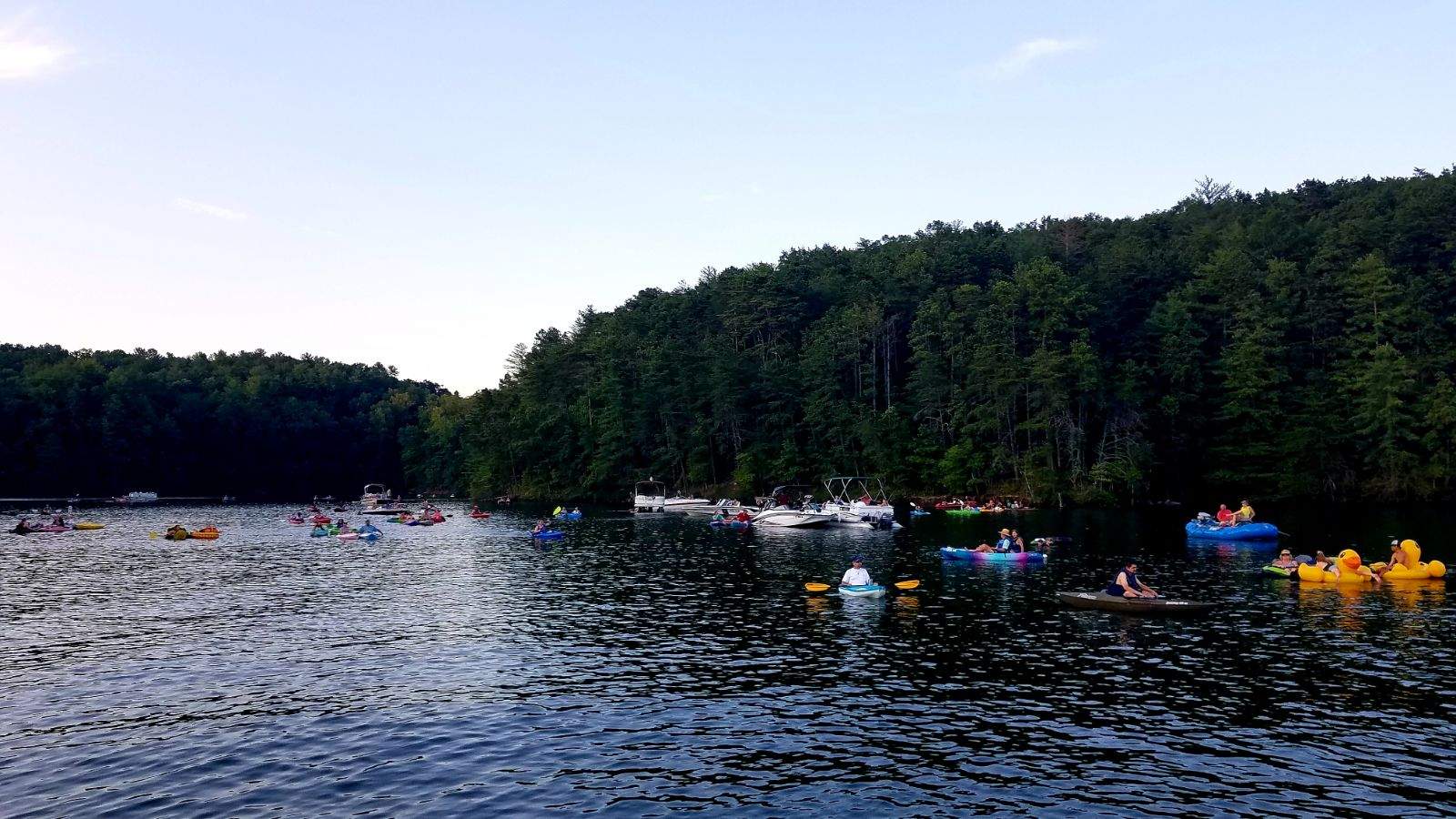 Resized_20190720_131347_6897.jpeg