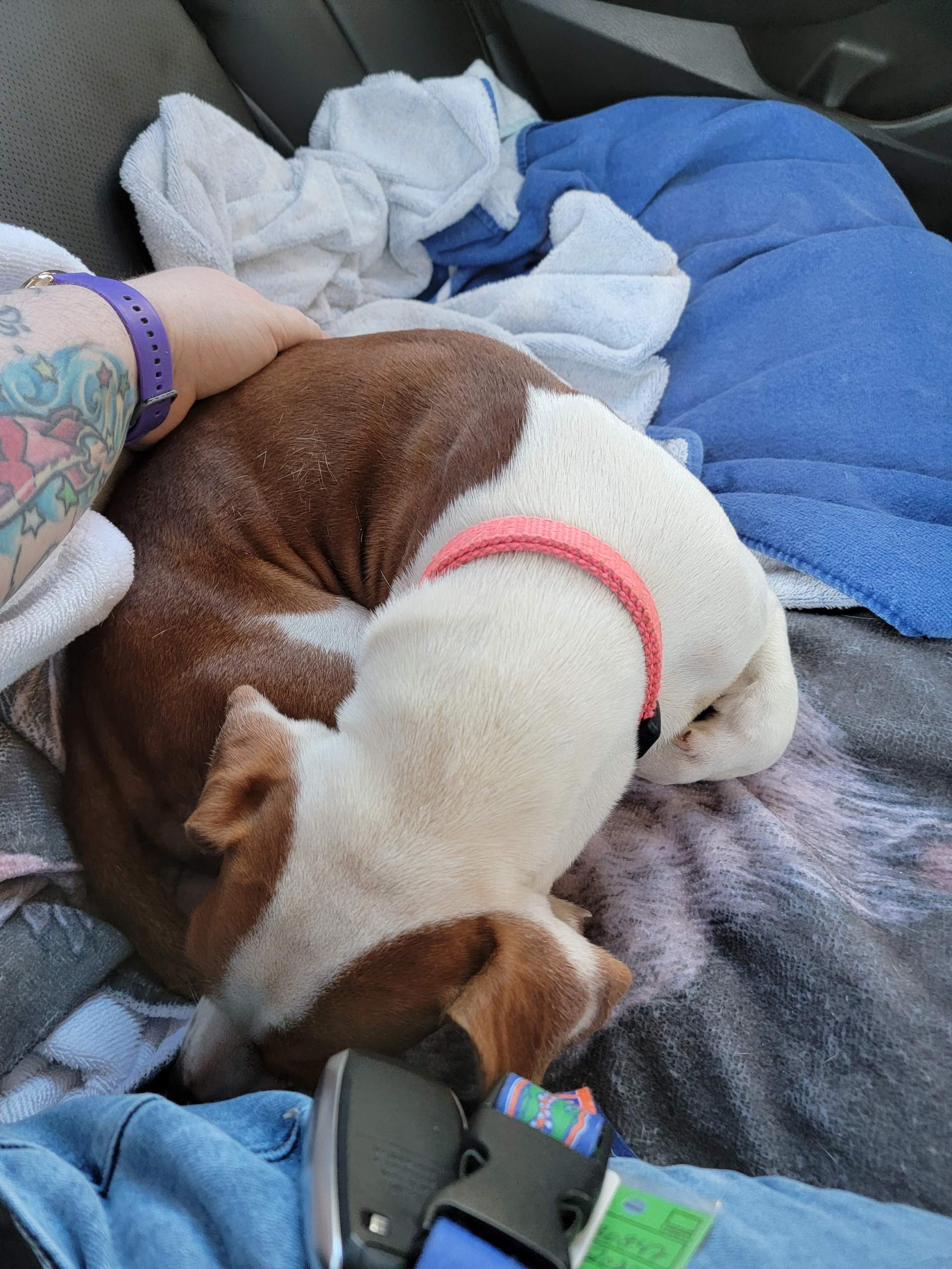 Resized_20220913_181626.jpeg