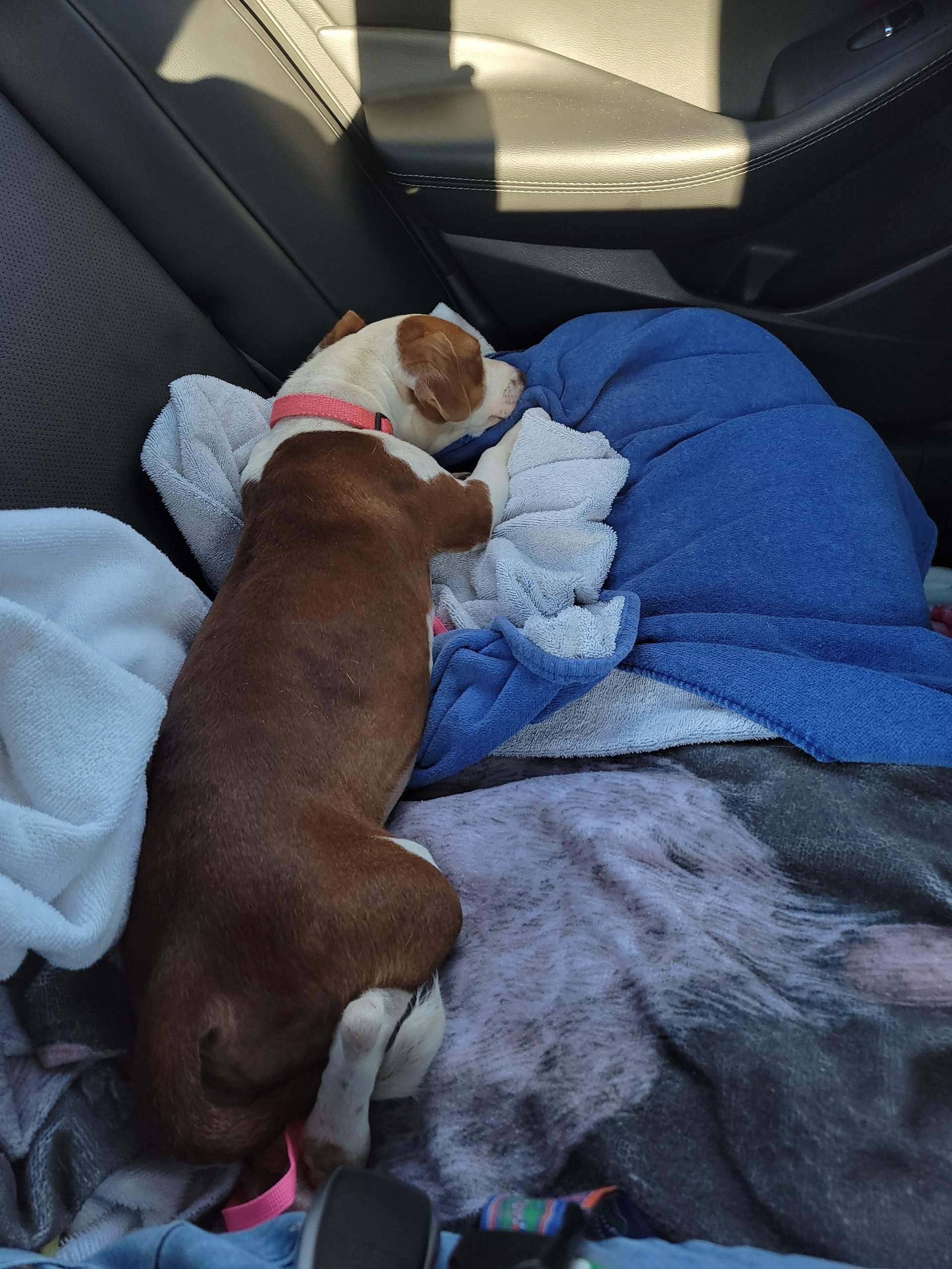 Resized_20220913_181917.jpeg