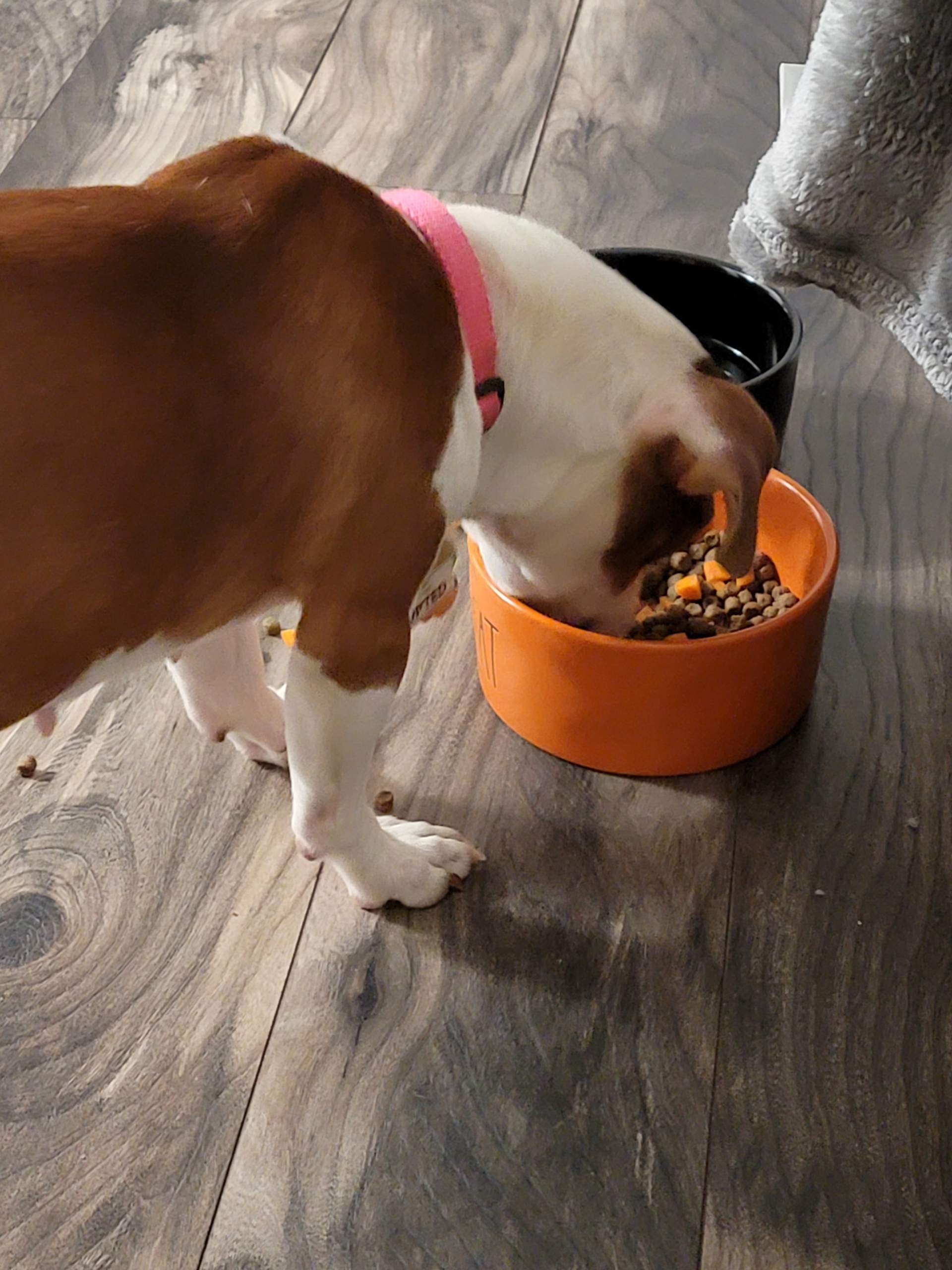 Resized_20220913_201341.jpeg