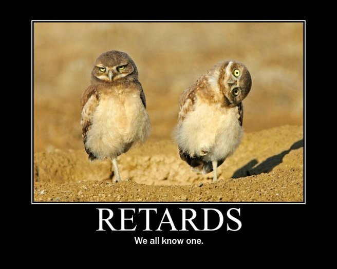 Retards_motivational_poster.jpg