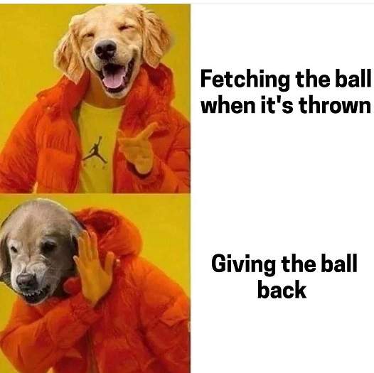 retriever drake.jpg