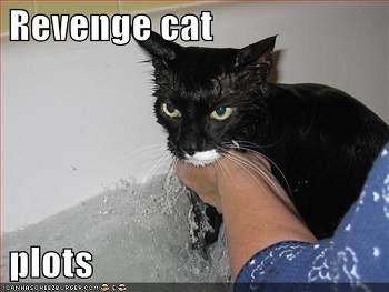 revenge-cat.jpg