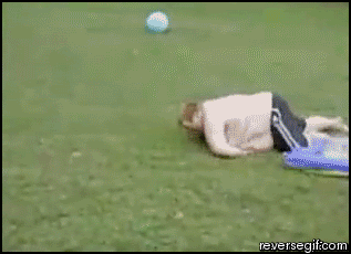 reverse683.gif