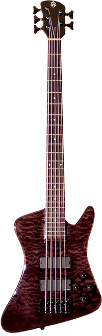Rex-5-Pro.jpg