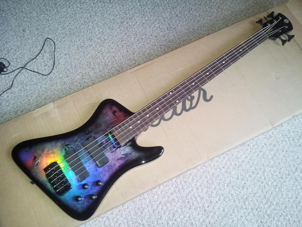 rex1_zps123d7416.jpg