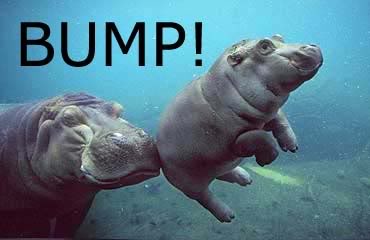 rhinobump.jpg