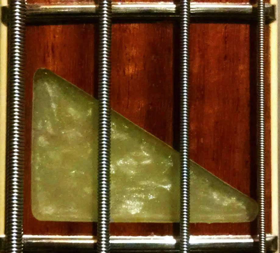 ric inlay.jpg