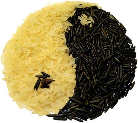 rice.jpg