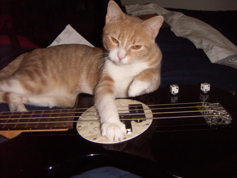 RICHIETHEBASSKITTY2.jpg