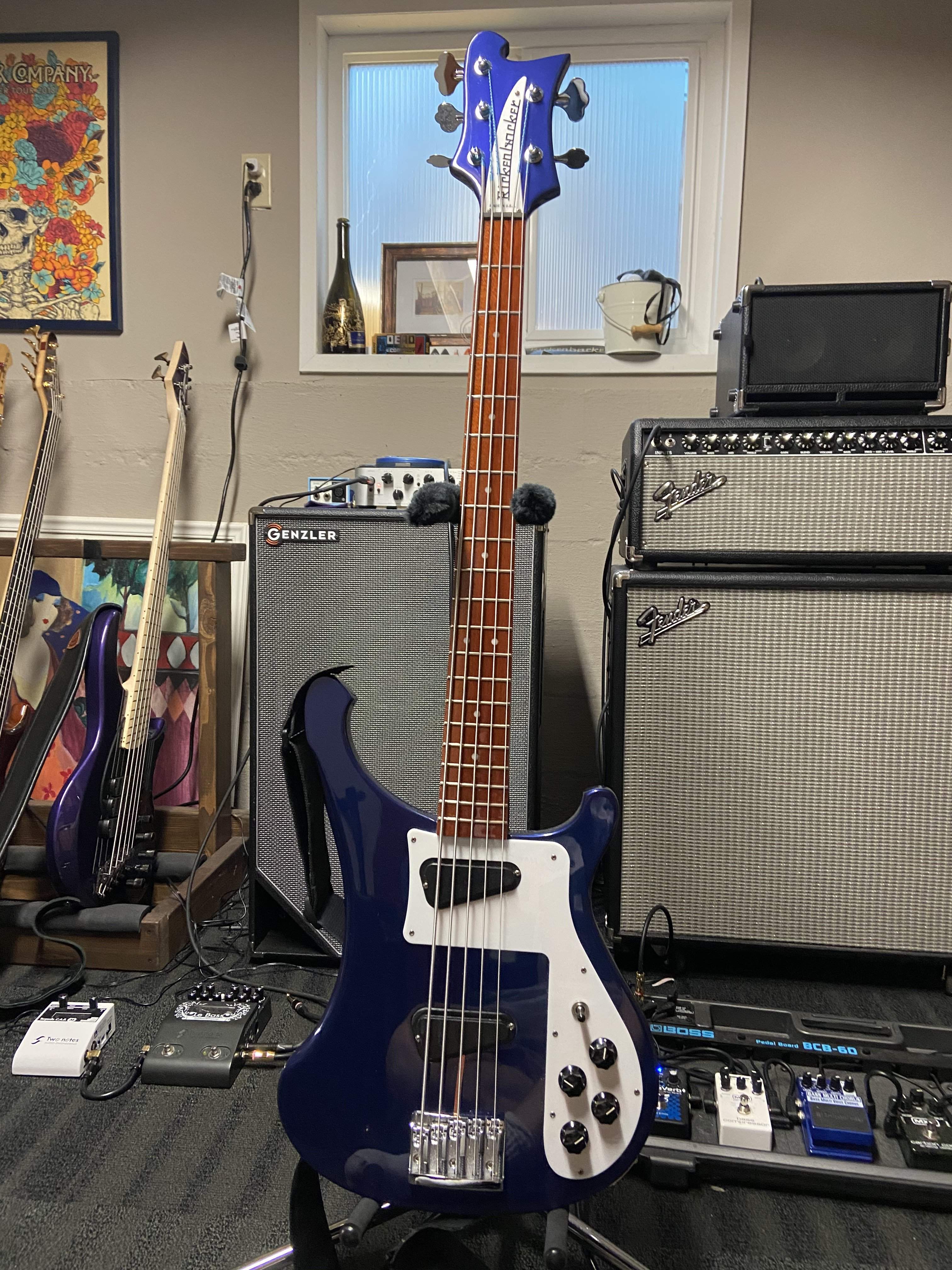 Rickenbacker 5 String.jpg