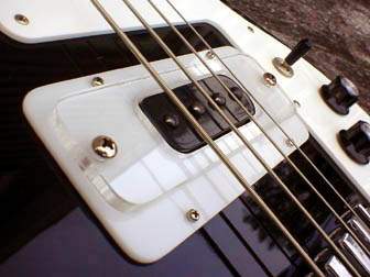 Rickenbacker pick.jpg