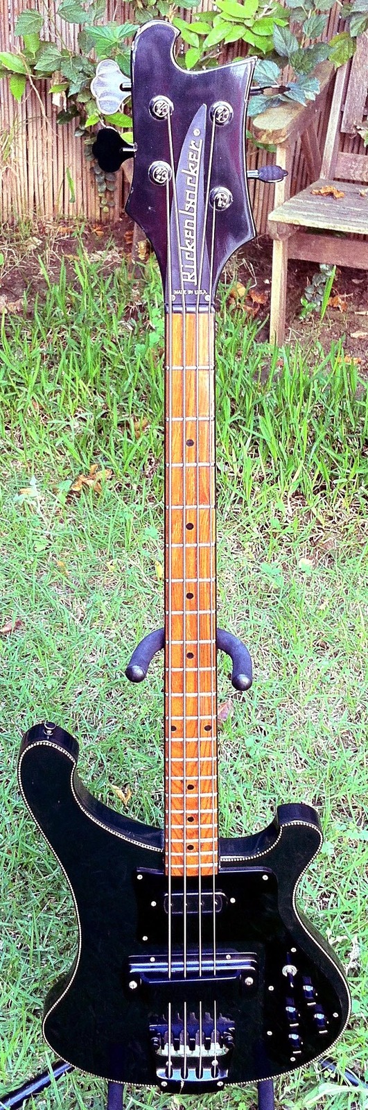 RickenbackerShadow.jpg