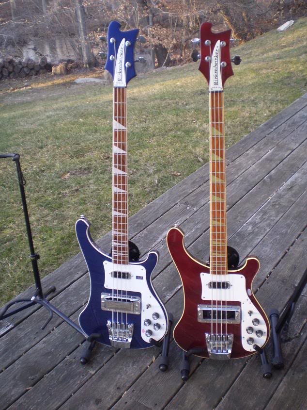 RICS3.jpg