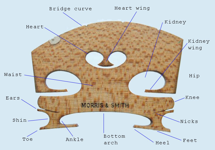ridge.jpg