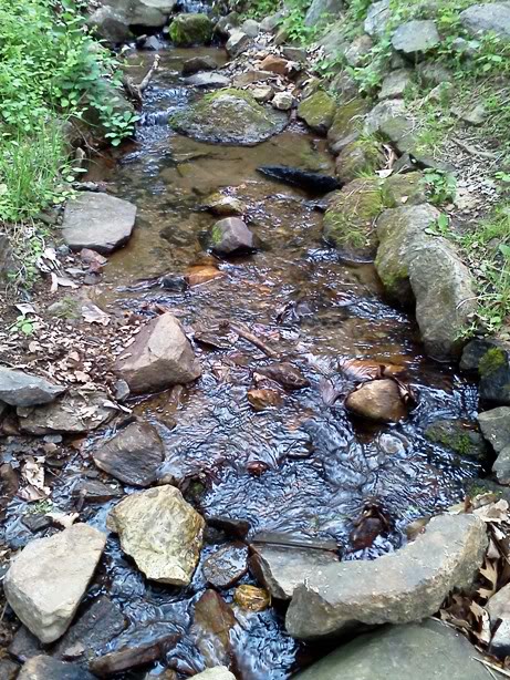 ridleycreek.jpg