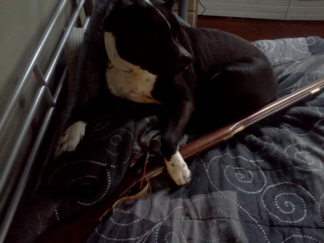 rifle.jpg
