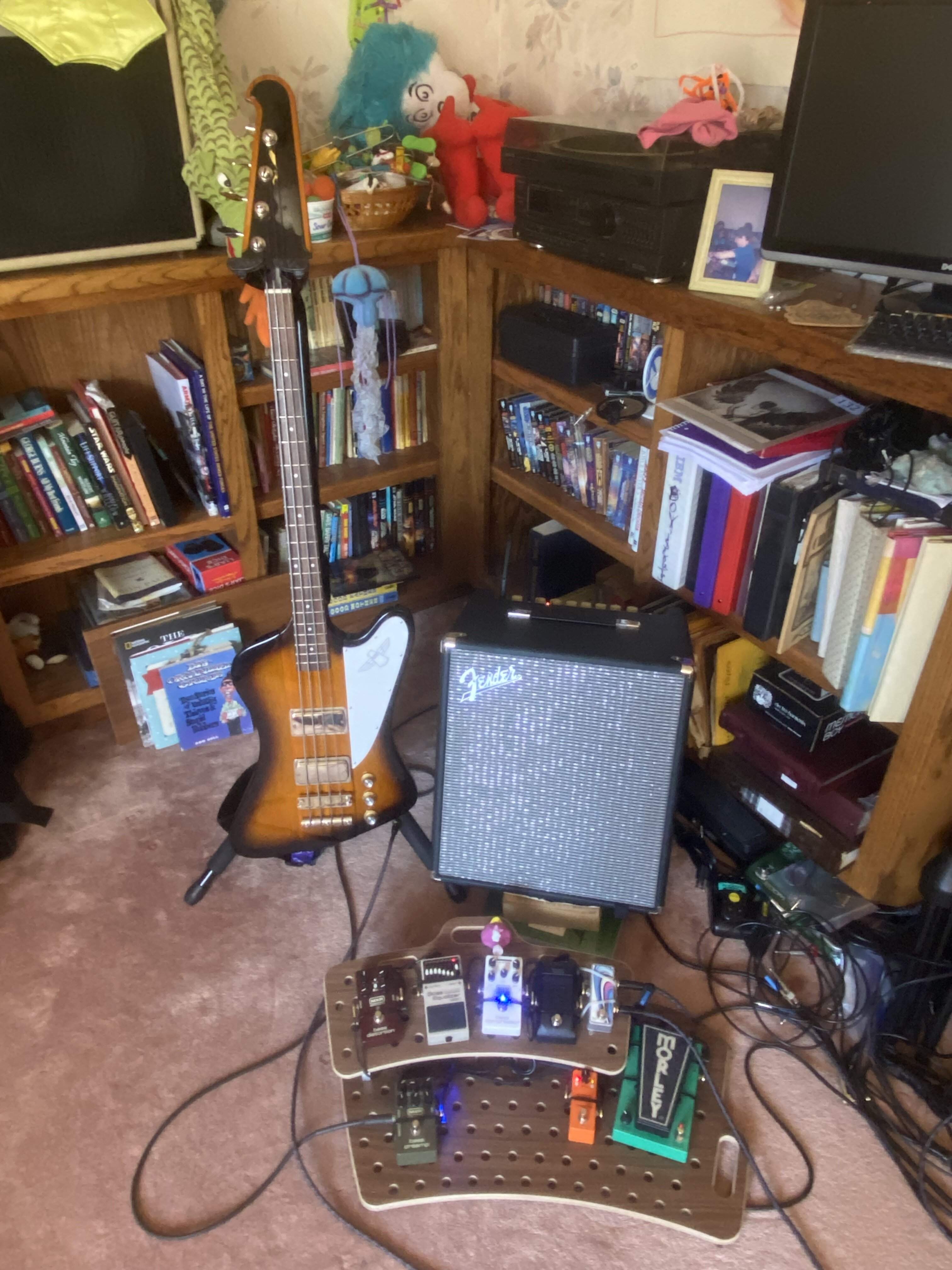 rig-burstbird.jpg