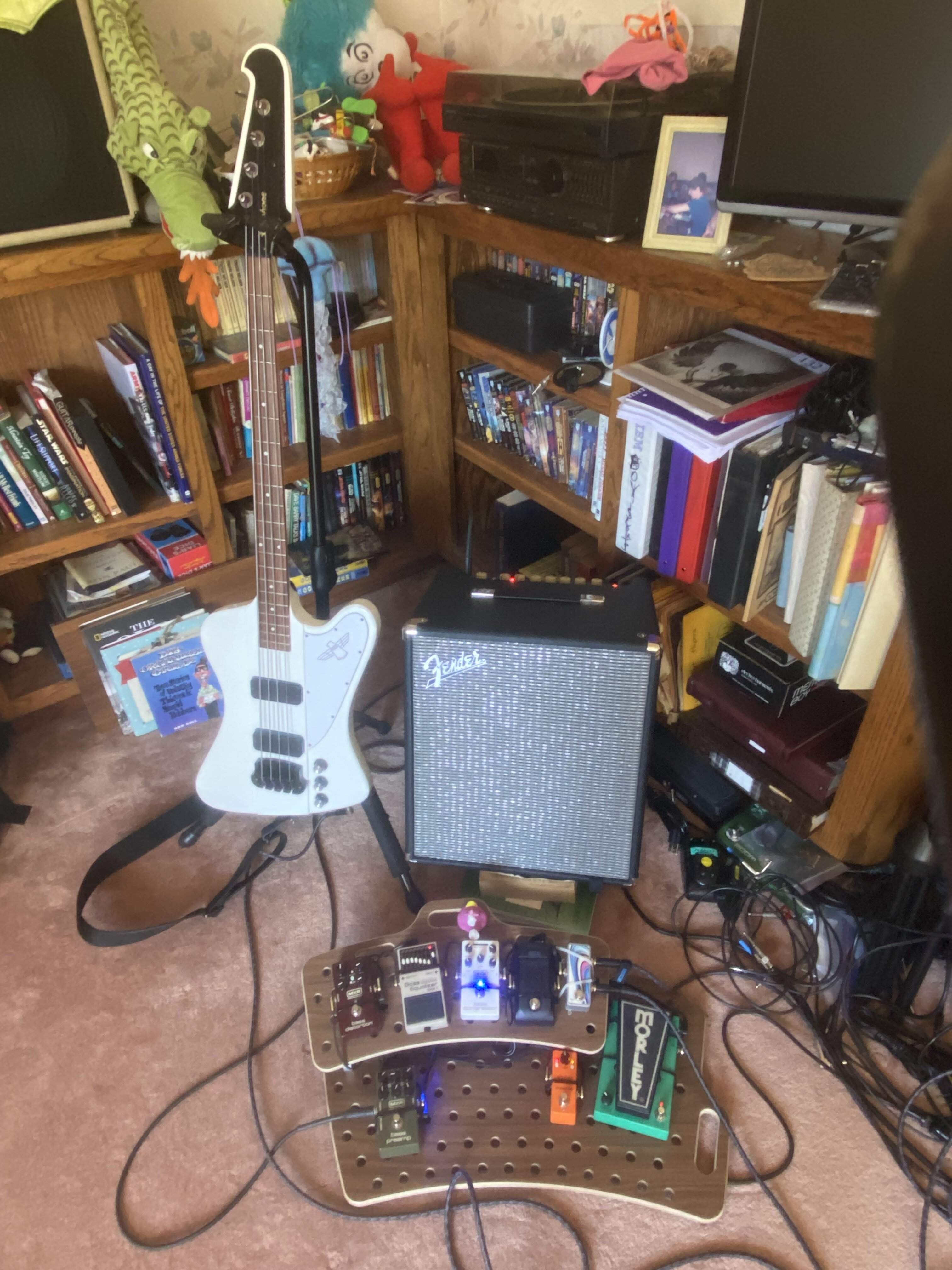 rig-whitebird.jpg