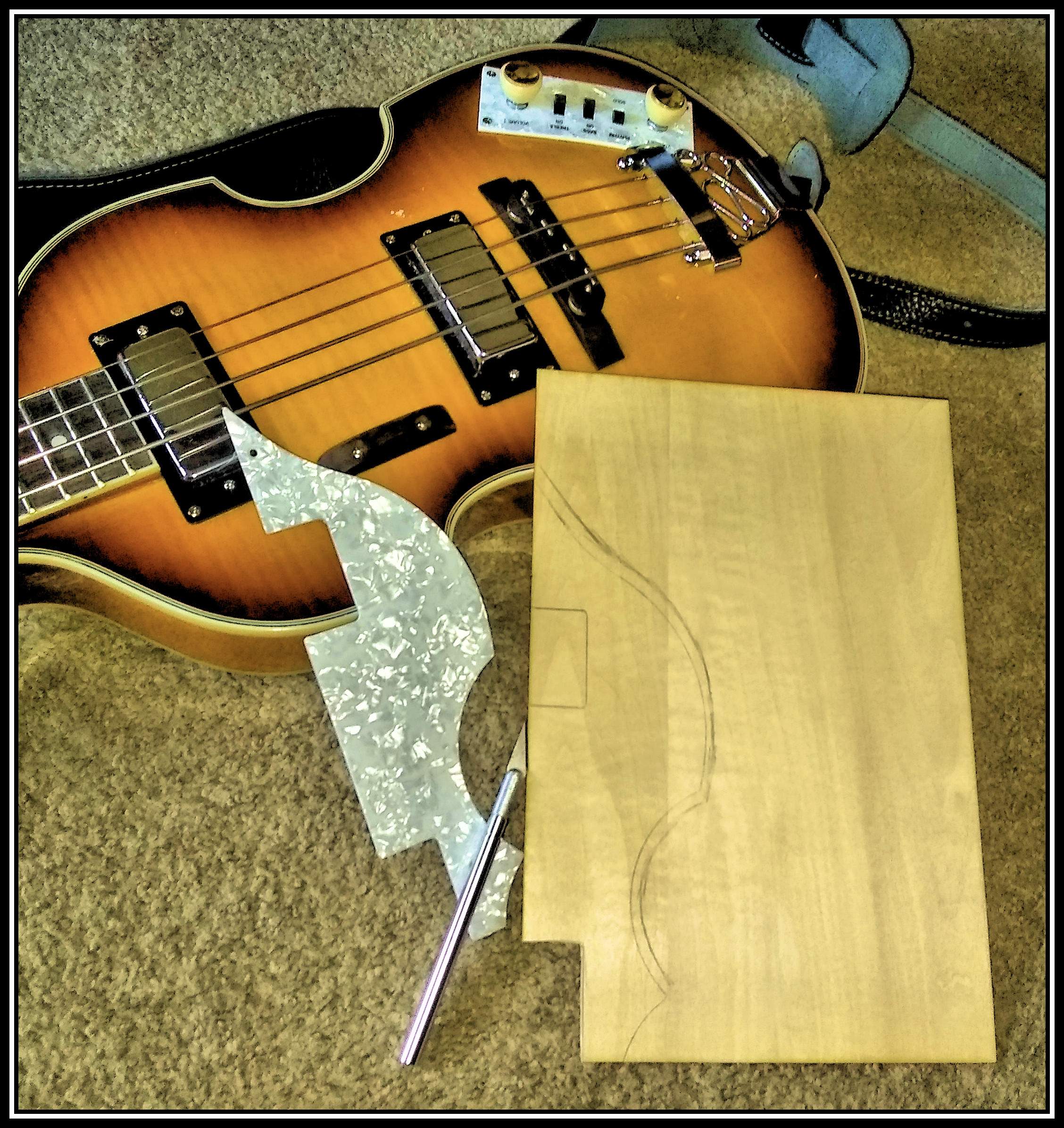 riguebuildpickguard1.jpg