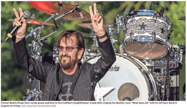 ringo - 1.jpeg