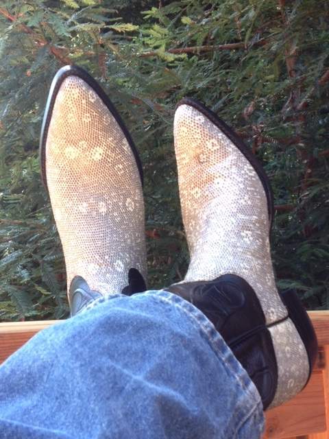 ringtail_boots.jpg