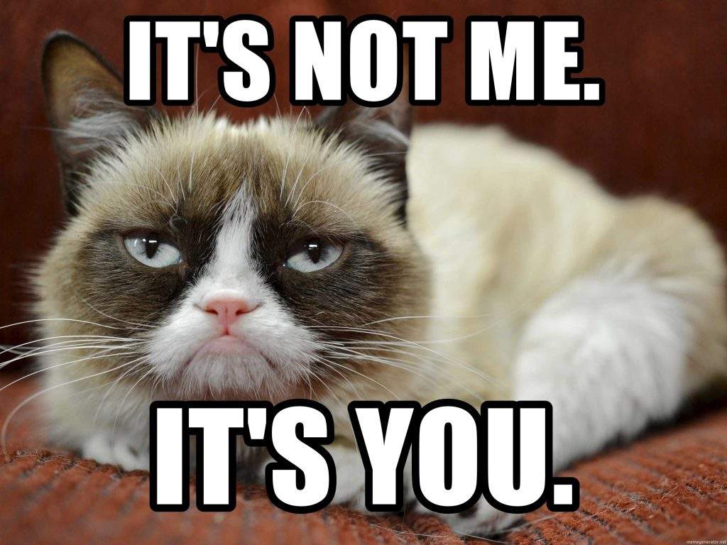 RIPGrumpyCat-3-TheRealProblem.jpg