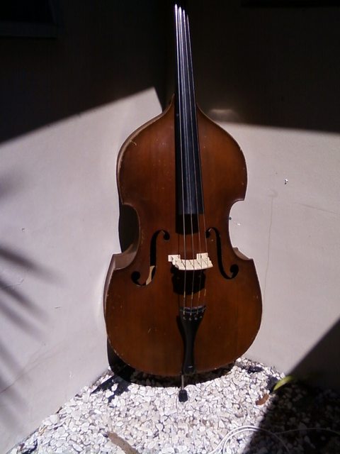rnPZjl.jpg