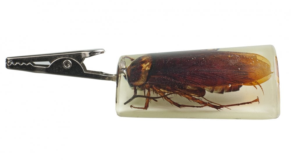 roach-clip-glow-in-the-dark.jpg