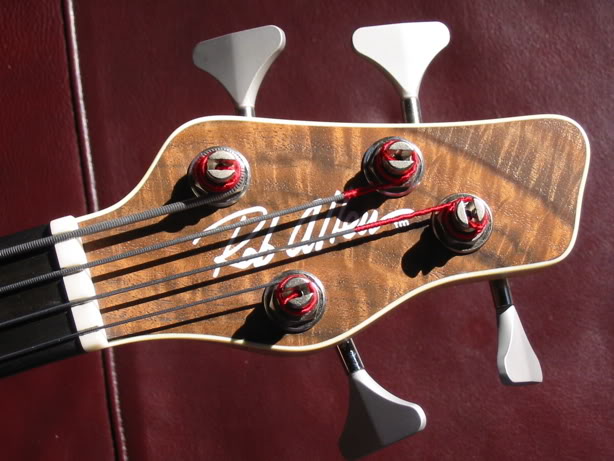 RobAllenHeadstock.jpg