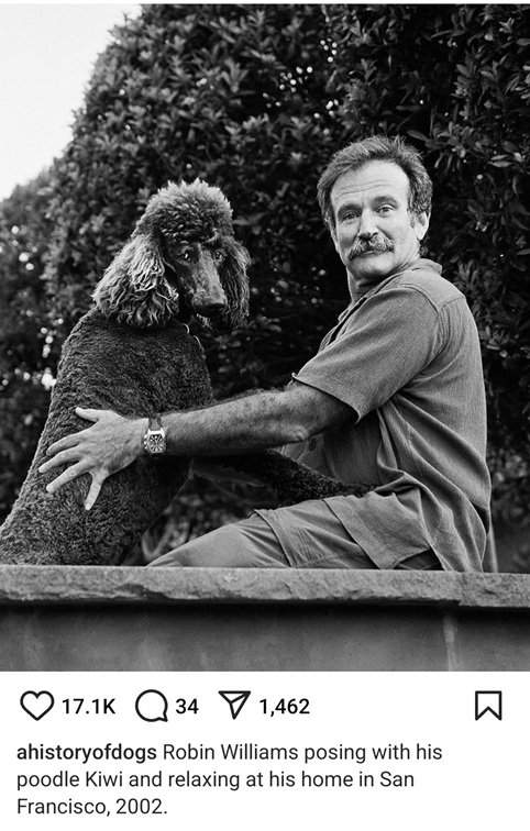 robin and dog.jpg