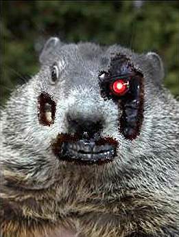 robot-groundhog.jpg