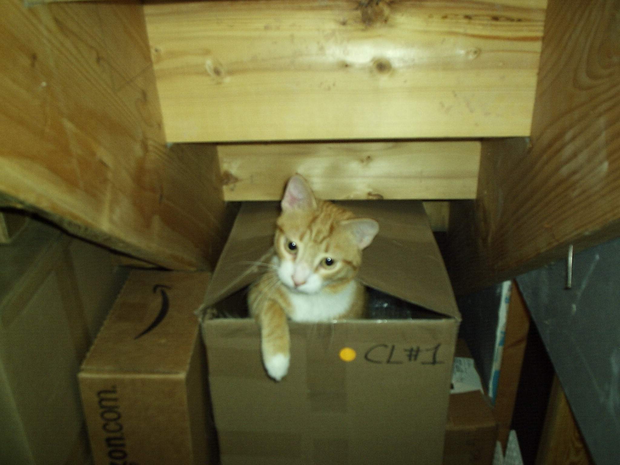 Rocket-box.JPG