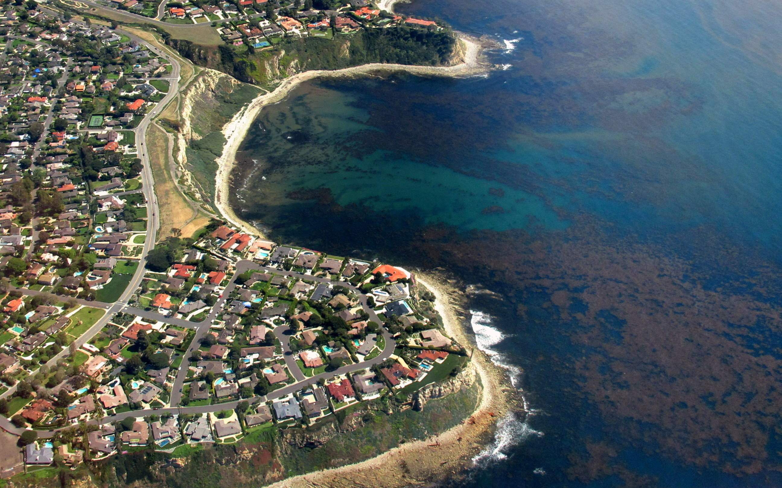 Rocky Point Kelp.JPG