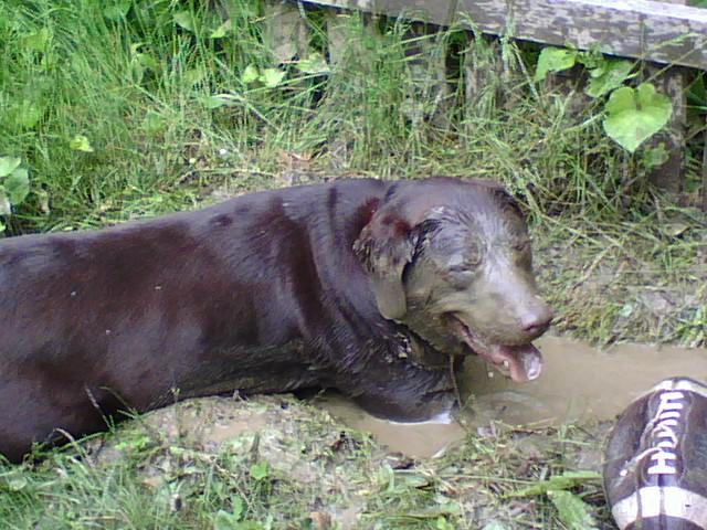rocky_mud.jpg