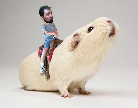 rodent.jpg