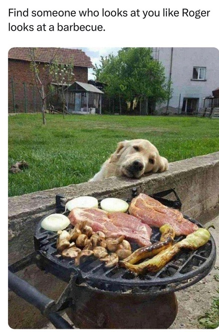 roger dog bbq.jpg
