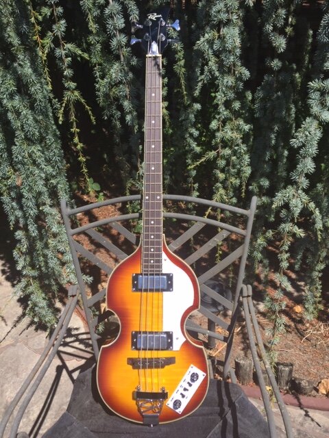 Rogue VB100.JPG