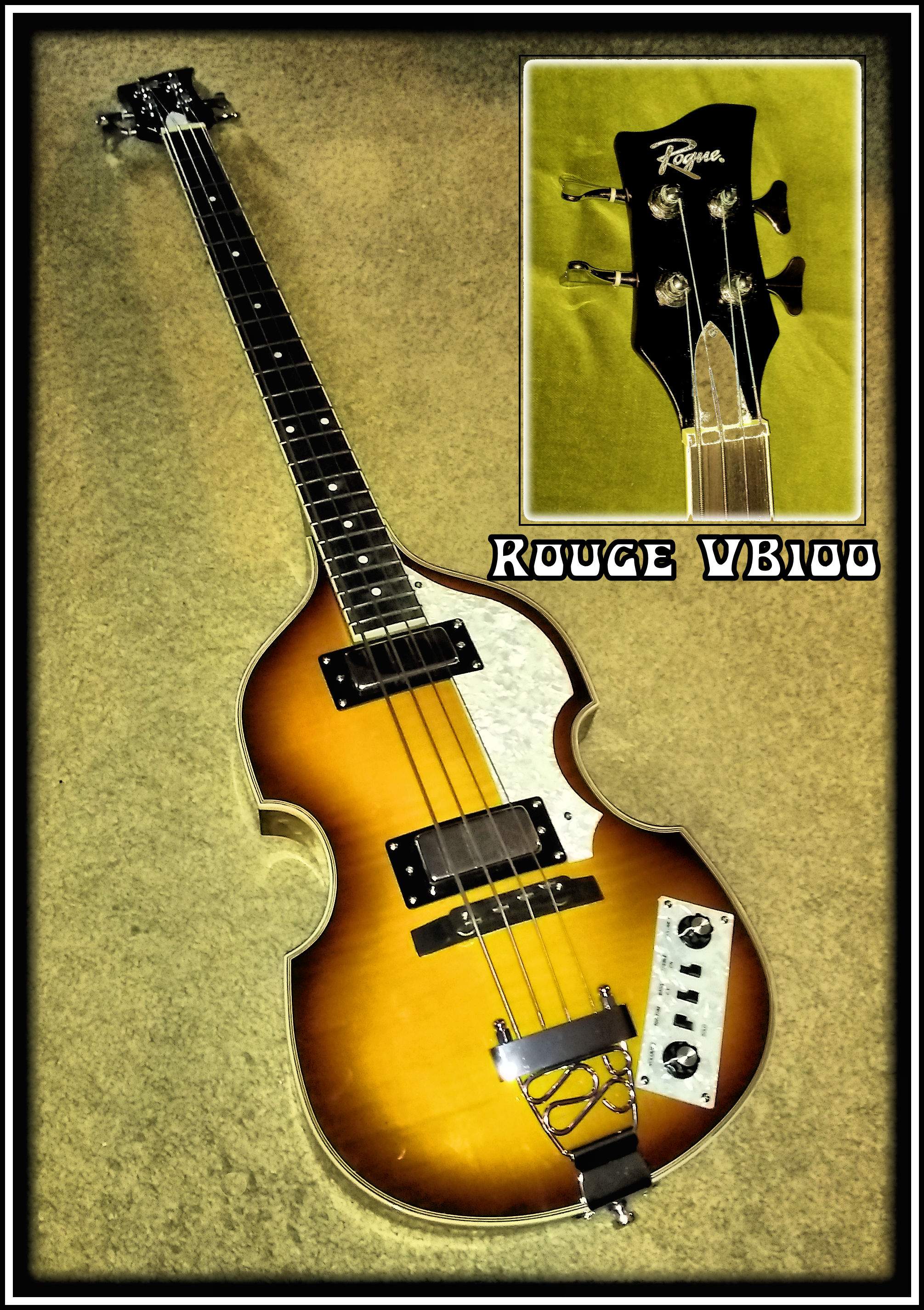 roguevb100.jpg