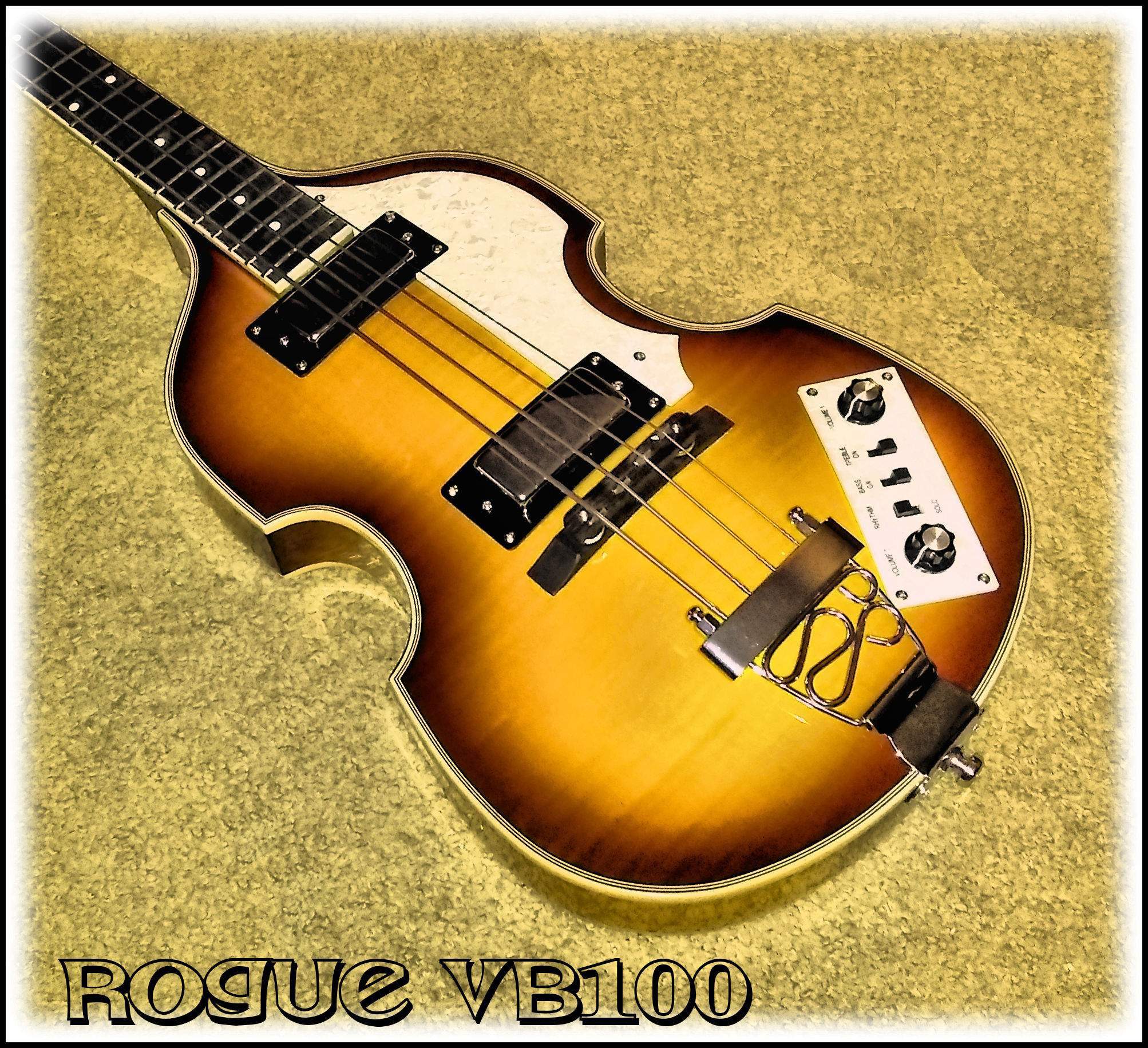 roguevb100565.jpg