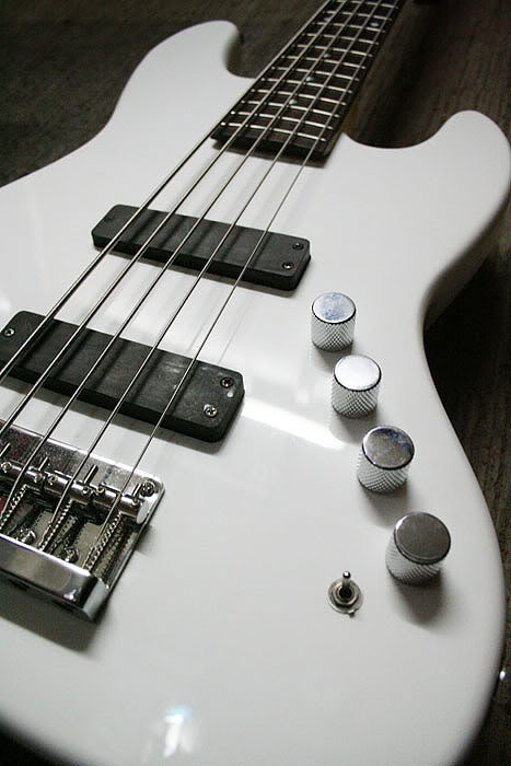 roj-custom-01.jpg