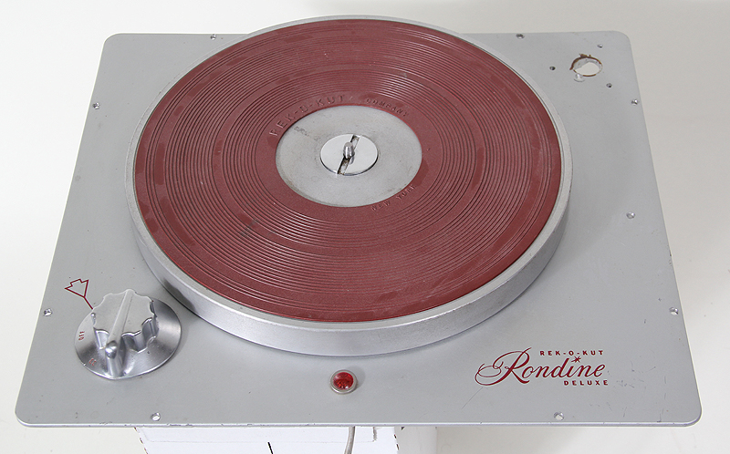 rondine-1.jpg