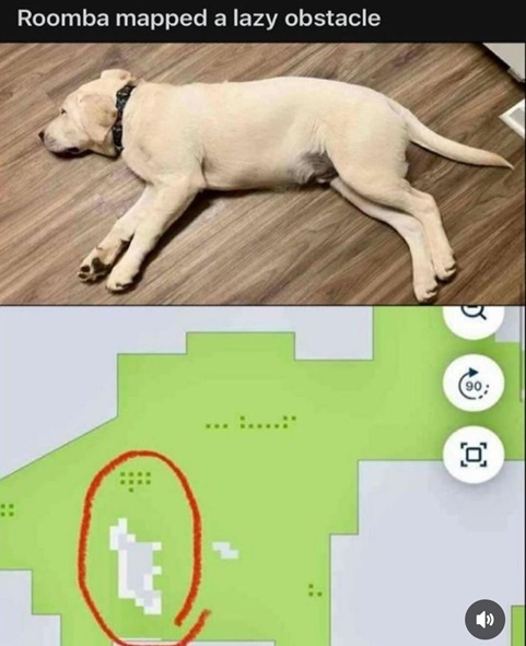 roomba dog.jpg